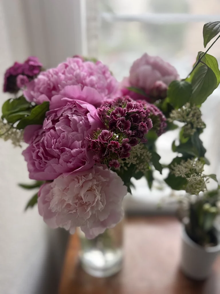fleurs camille atelier flora lausanne massage